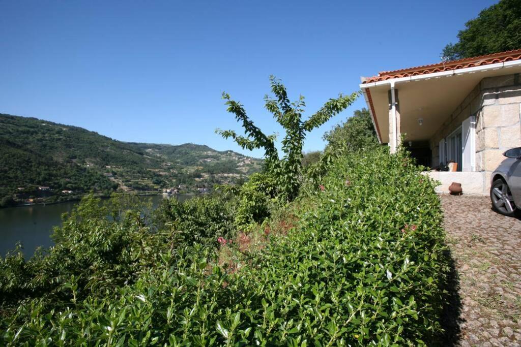 Douro Valley - Casa Do Campo Resende Covelas  Екстериор снимка